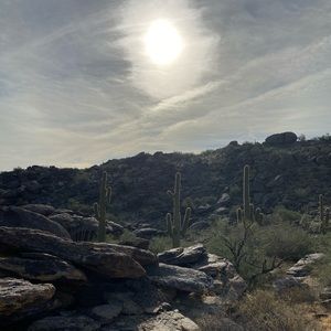 Meet your Posher, Melanie